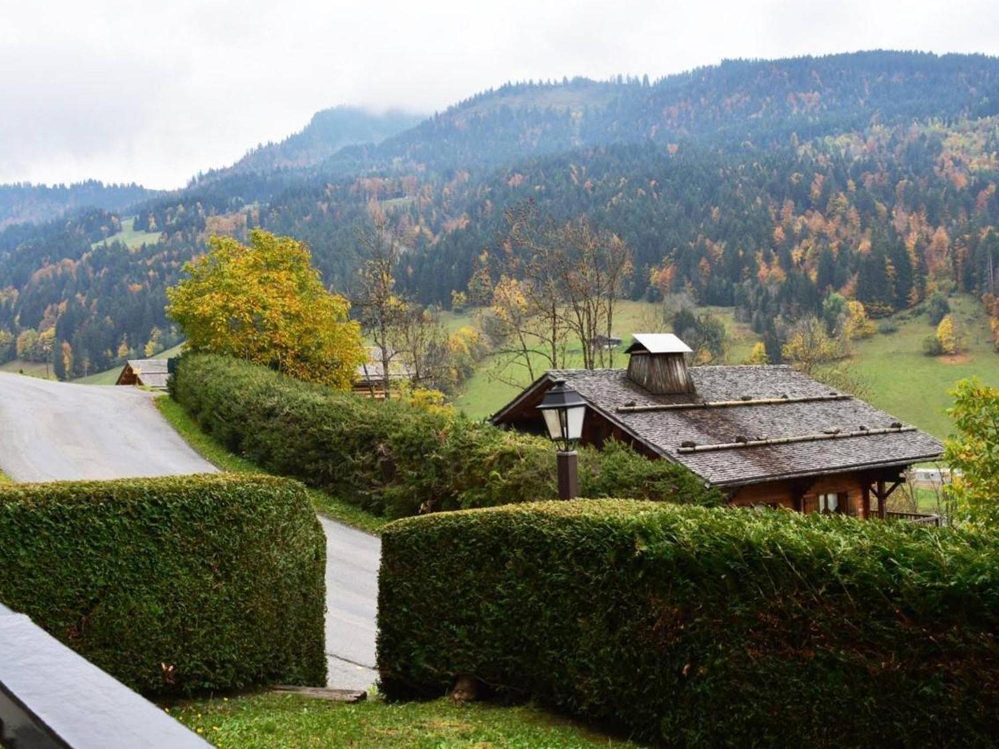 Studio En Rez-De-Jardin Pour 4 Avec Parking Couvert, A 500M De La Telecabine - Le Grand-Bornand - Fr-1-241-80 ภายนอก รูปภาพ